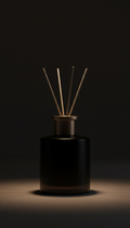 After Dark black glass car diffuser